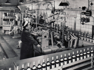 Eigenproduktion 1950
